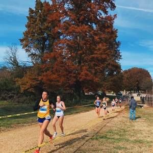 Meet your Posher, Alli